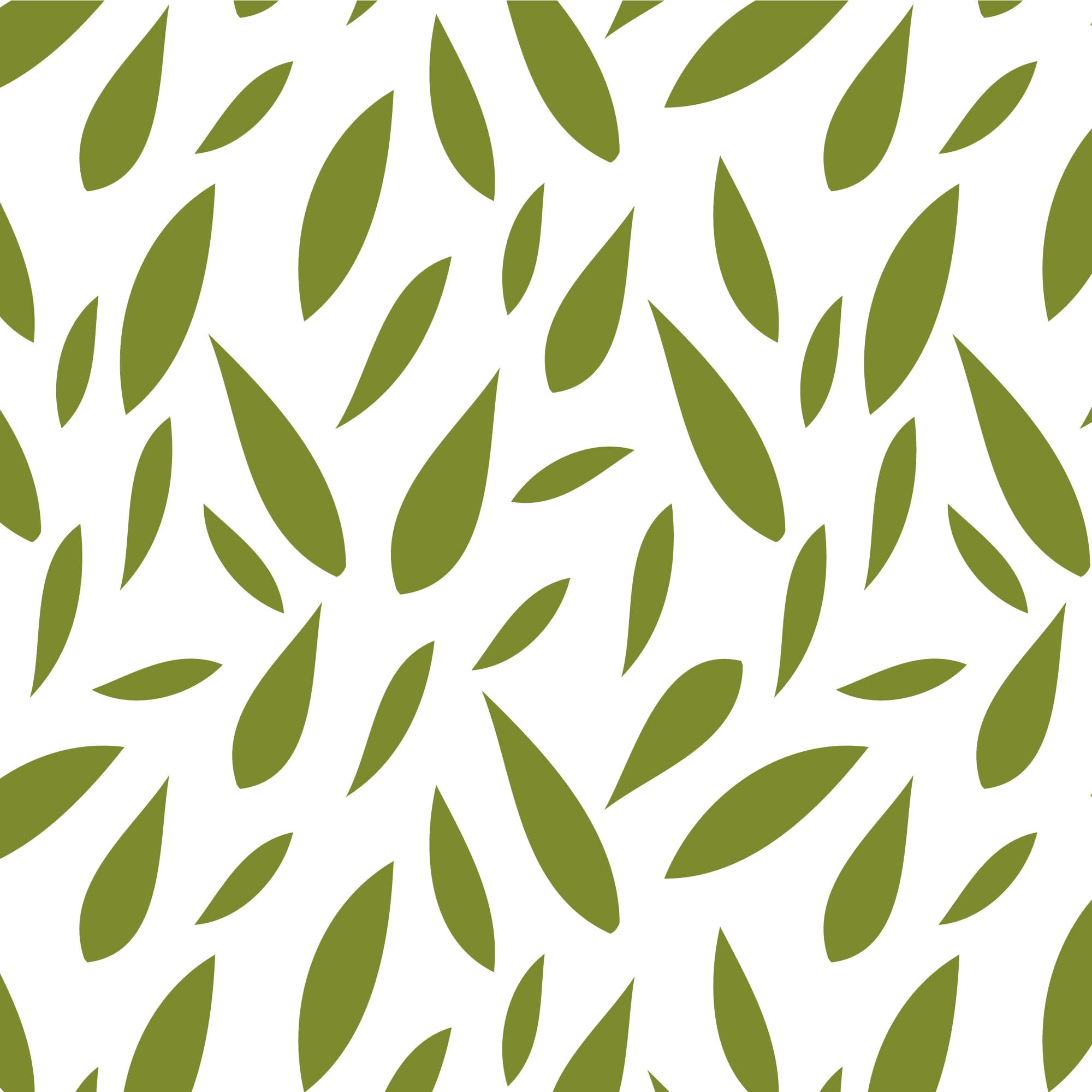 Leaf Pattern