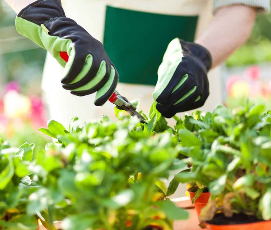 Entretien de Jardins